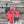 Bare Metal - Ladybug