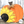 Bare Metal Pumpkin - Short