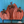 Bare Metal - Row Pumpkins