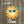 Bare Metal - Sun